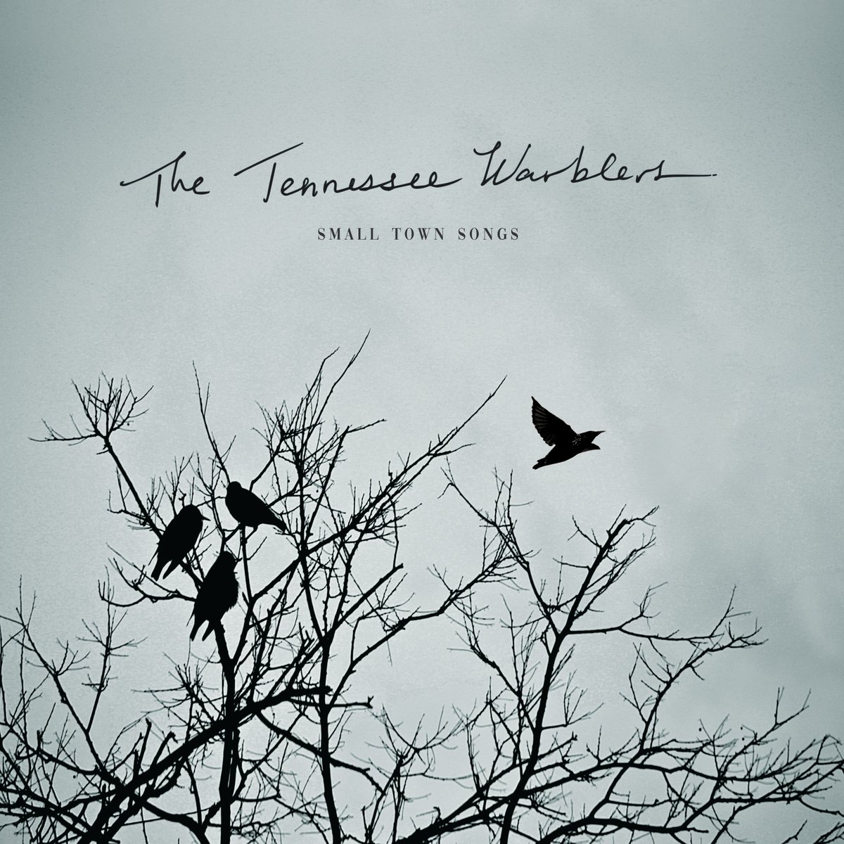 TNWarblers's tweet photo. We are excited to share our album art for Small Town Songs! Streaming everywhere Black Friday!
#smalltownsongs #bluegrass #americana #tnwarblers https://t.co/QLod34sRND