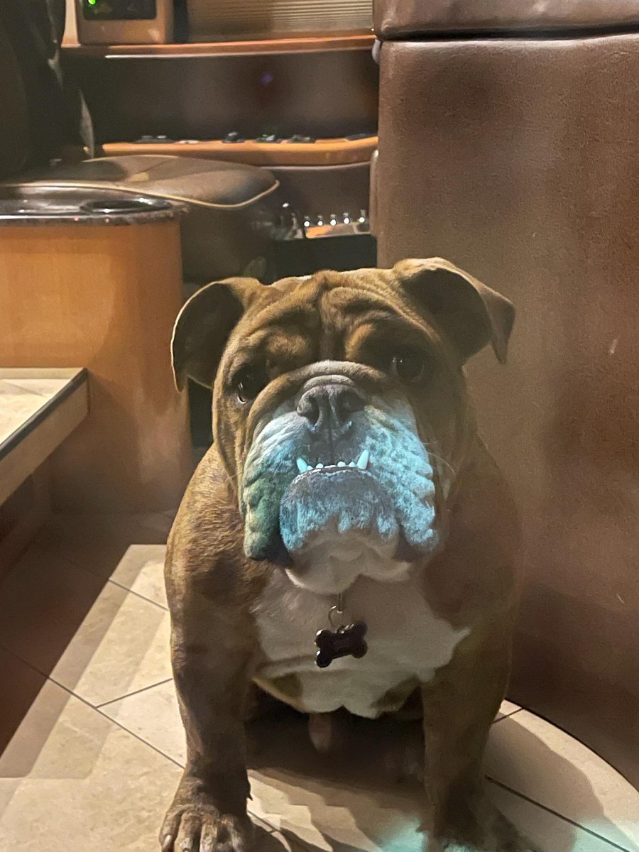 Verocalhoun's tweet photo. @IntocableRJM #Dallas loves @grupointocable and Rufus https://t.co/1pfQze4hoU