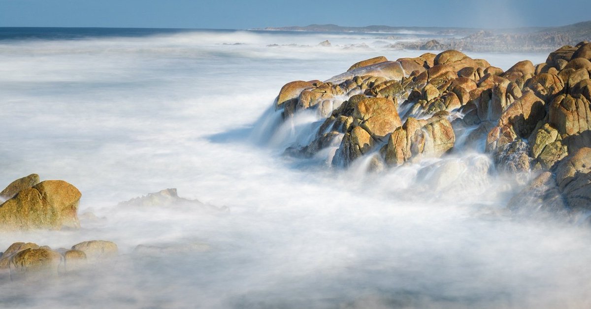 Francois Fourie tweet media