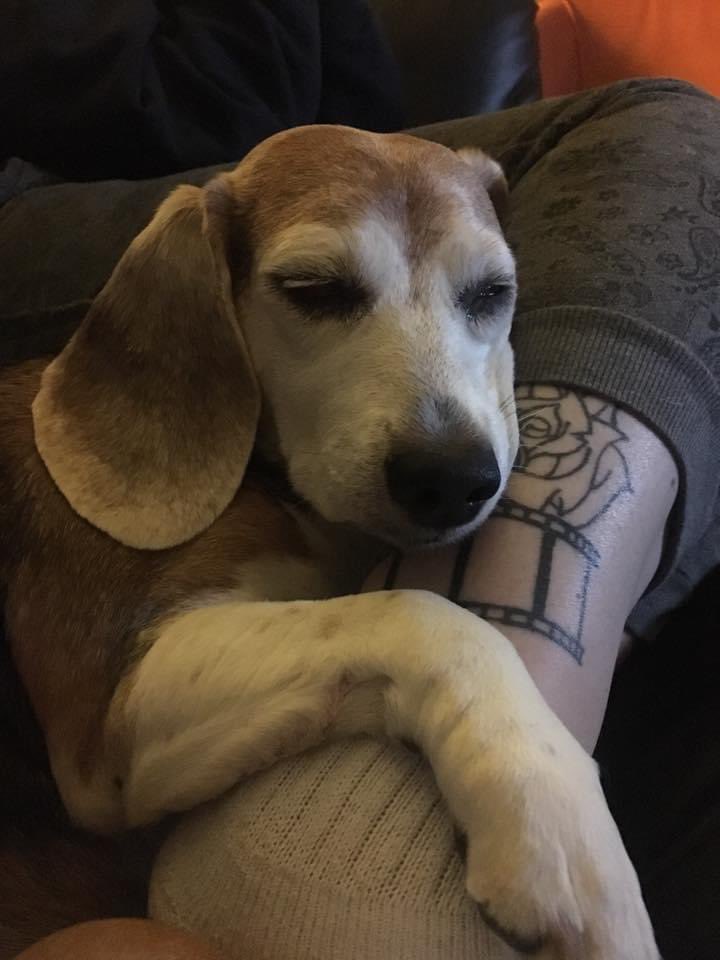 I still miss Zoe so much.