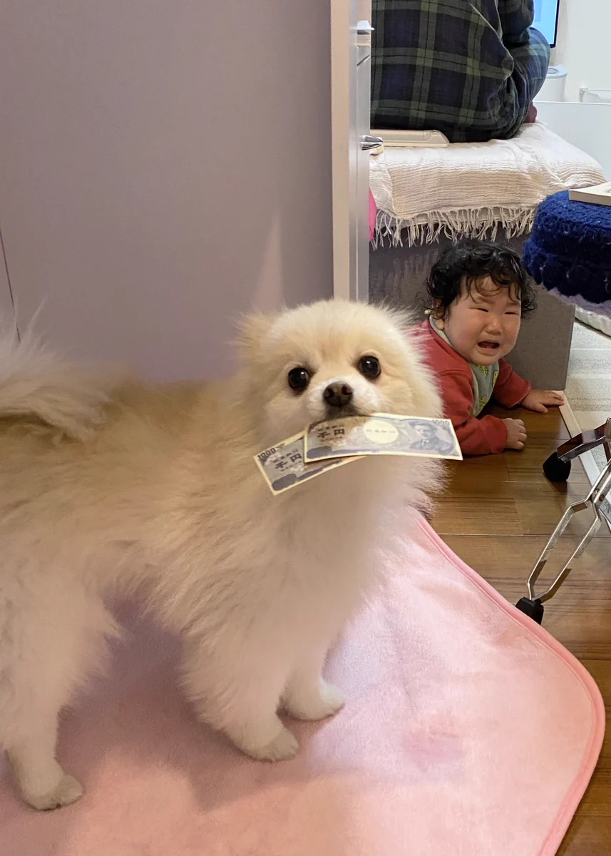 風刺画みたい？！赤ちゃんが泣いているところでお札を咥えるわんこ！