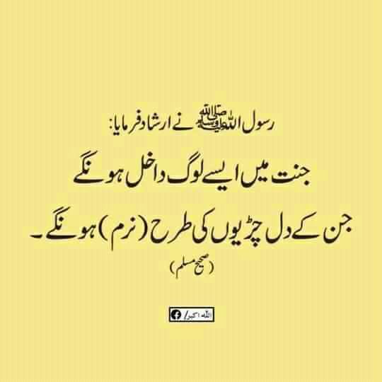 Ali Khan (@alig2010) on Twitter photo 