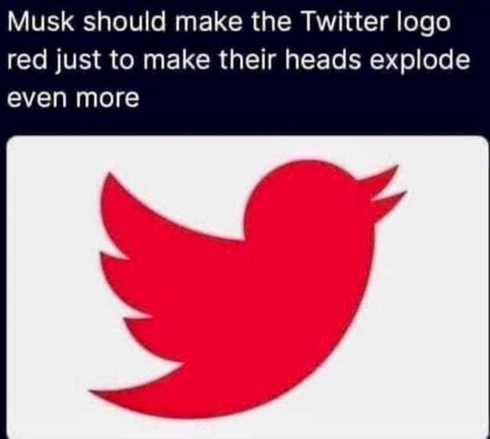 usemorec4's tweet photo. @elonmusk https://t.co/wZLNkM4KWr