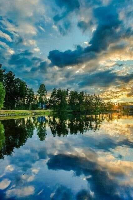 NATURALEZAV3's tweet photo. La belleza de la naturaleza. https://t.co/Lb0DXm1eCC
