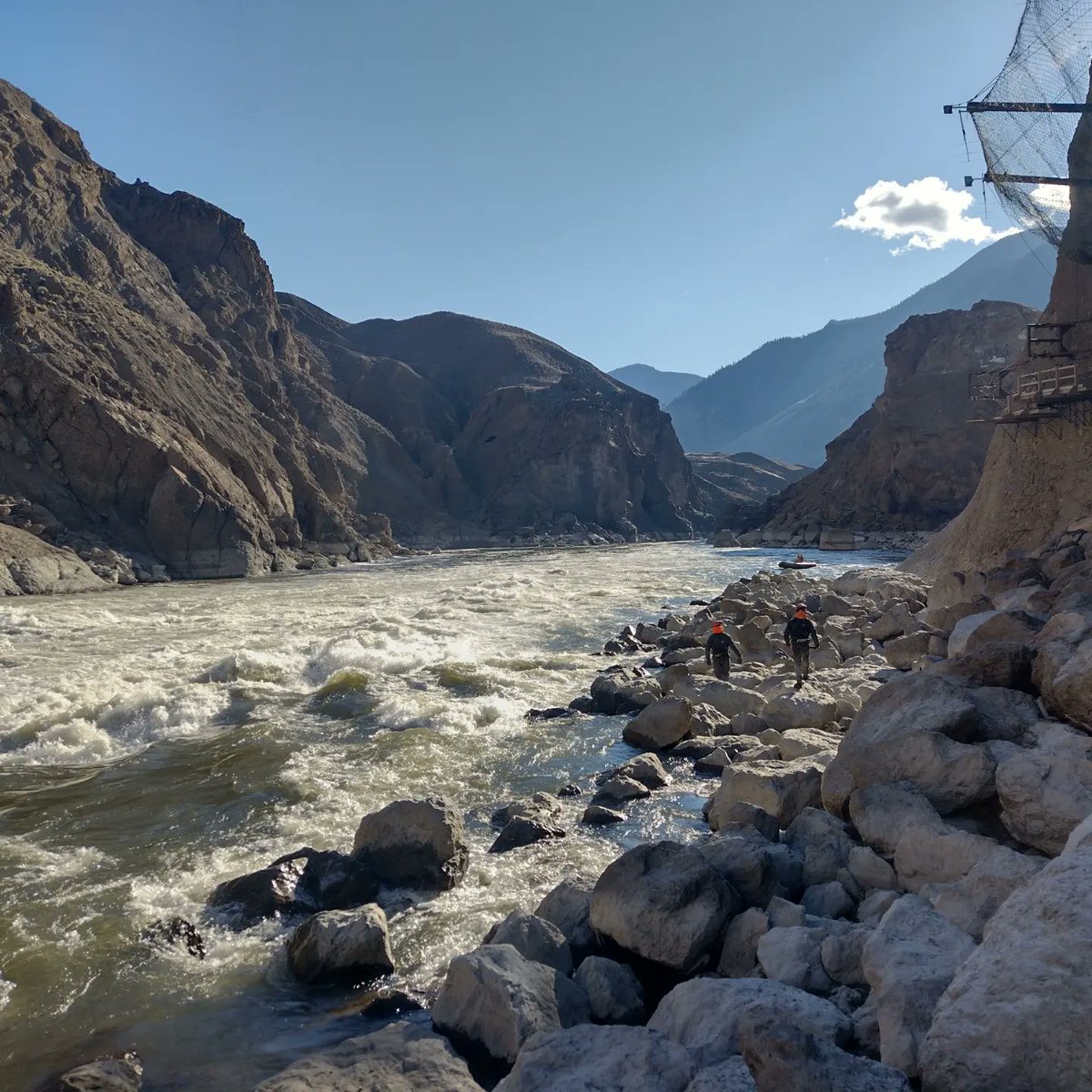 Dan Murphy tweet media