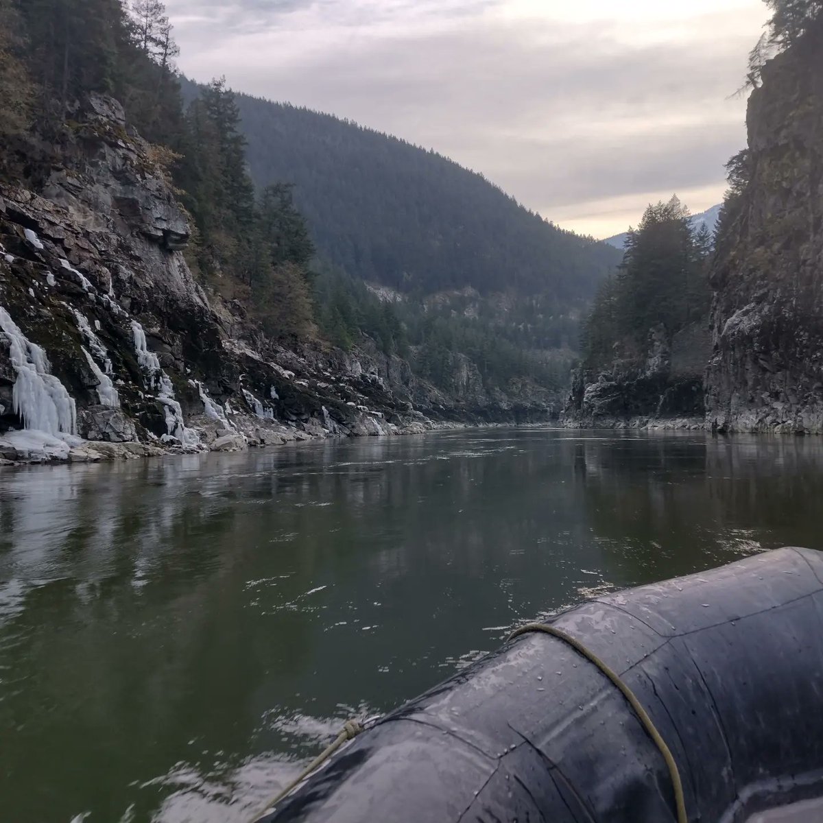 Dan Murphy tweet media