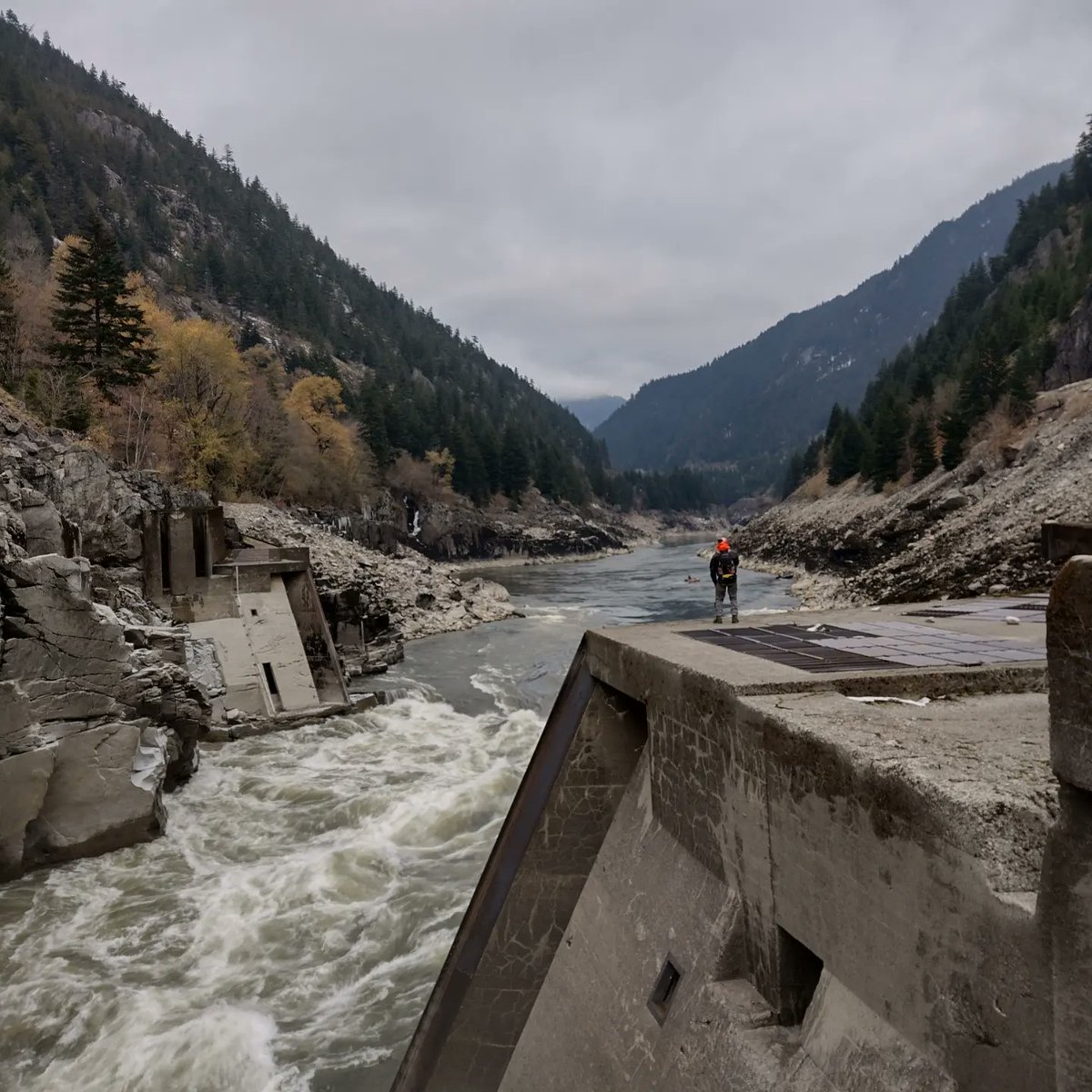 Dan Murphy tweet media