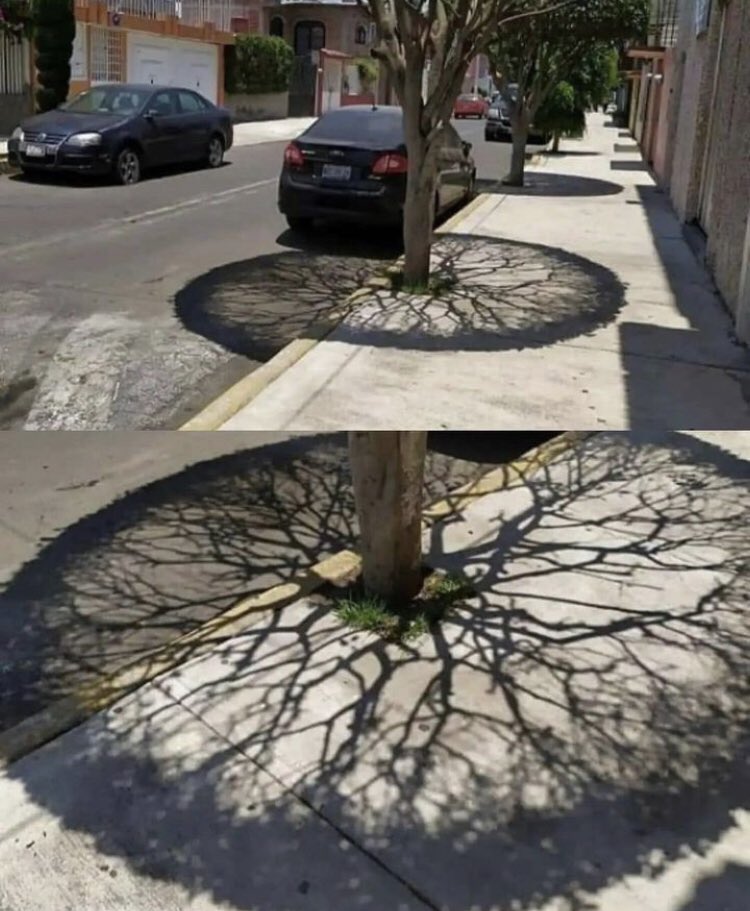 S＠KANOUE tweet media