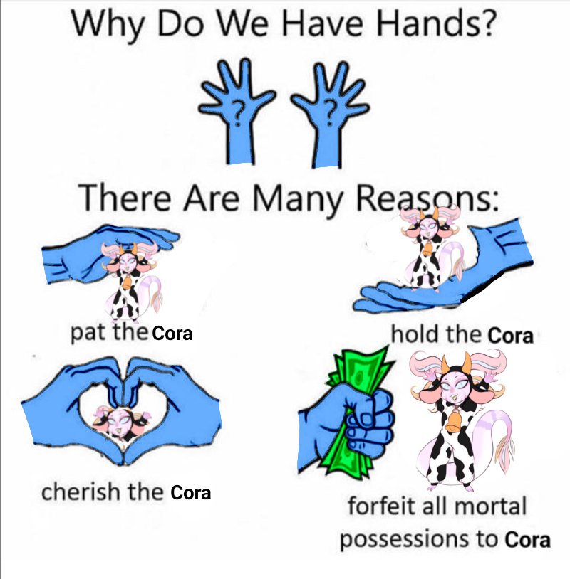 My hands were initially for fighting. But now they are for a new reason.