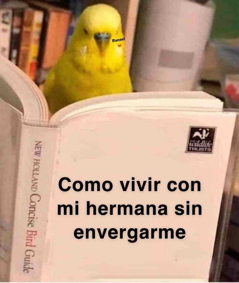 IsraelH16704079's tweet photo. Que recuerdo, cuando mis hermanas vivían con migo y mi  mamá era todo bien asta que se enojavan, y ay si, yo ya valía madres que recuerdos, pero toda pasa muy rápido, hora solo quedo yo en casa de mi amá, y casi no estamos por la universidad y trabajo pero todo bien.  @ryshardsc https://t.co/XHdoGmN80N