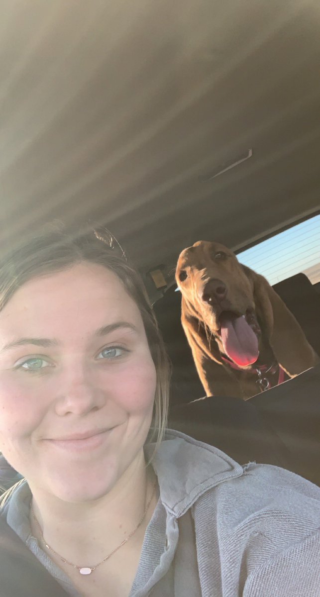 4 years later and here is my real life bloodhound that I still want but definitely don’t need.🙃🤣