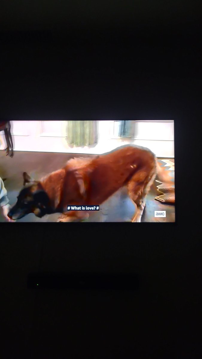 Mayaswave's tweet photo. @AMCTalkingDead At least there was ONE good news on this dinner.
#dogdixon https://t.co/p12v0Wpnuk
