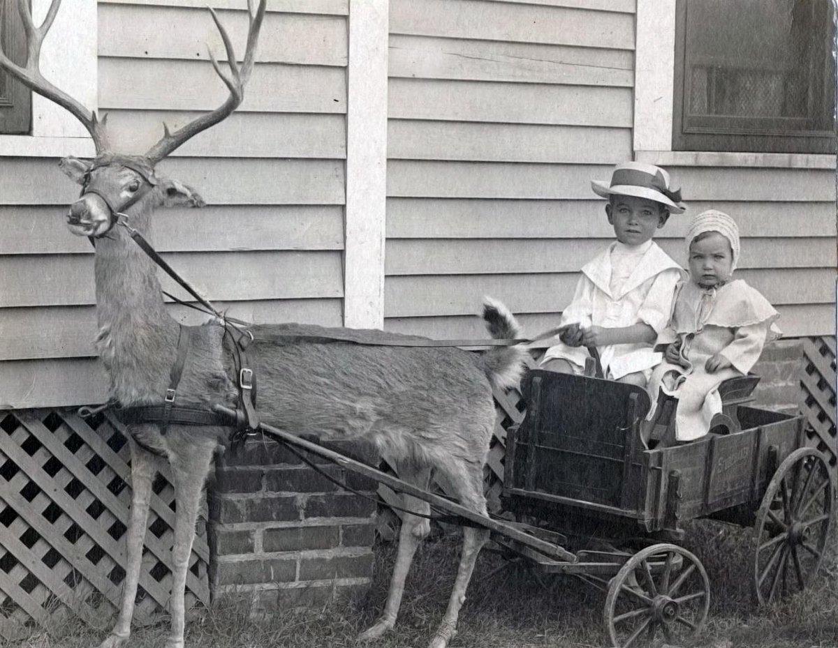 TracesofTexas's tweet photo. I have never posted a photo of kids with a deer cart. This is Hoyt Murphree and his sister Burnetta in Waco circa 1915.  Tragically, their mother, Lena Beck Murphree, died in 1919 when she was asphyxiated at the family home at 416 Williams street. https://t.co/wvCBJkZoo5