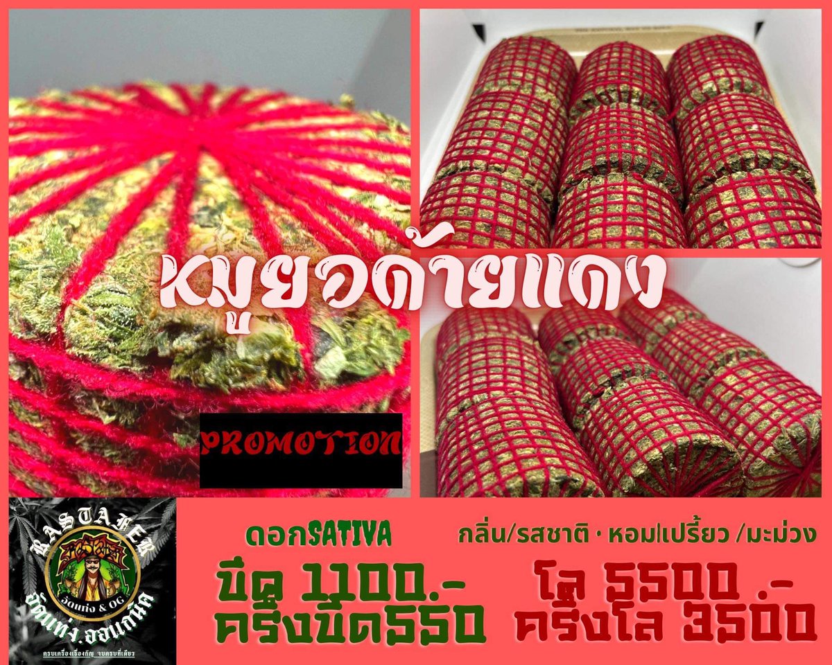 Rastafer98's tweet photo. โปรโมชั่นเดือนนี้!!!! 
งาน อัดแท่ง หมูนอด้ายแดง
ด้ายน้อย เม็ดน้อย ก้านน้อย 
เขียว เหนียว หอม !! 
ไม่มีขั้นต่ำกี่ ขีดก็ส่ง 
ส่งจริง ส่งไว 1-2วันถึง ส่งของทุกวัน
รีวิวจากลูกค้าแน่น พ่อค้าตอบแชทไว
#กัญชา #กัญชาอัดแท่ง #กัญชาเสรี #กัญชาพัทยา #กัญชาออแกนิค #กัญชาชลบุรี #weed #weedthai https://t.co/8mthu6tfES