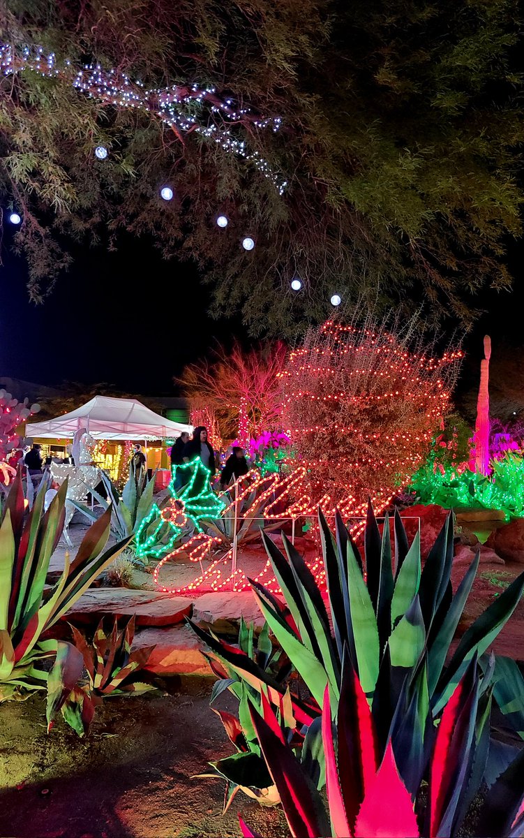 Went to one of the Christmas light experiences c: