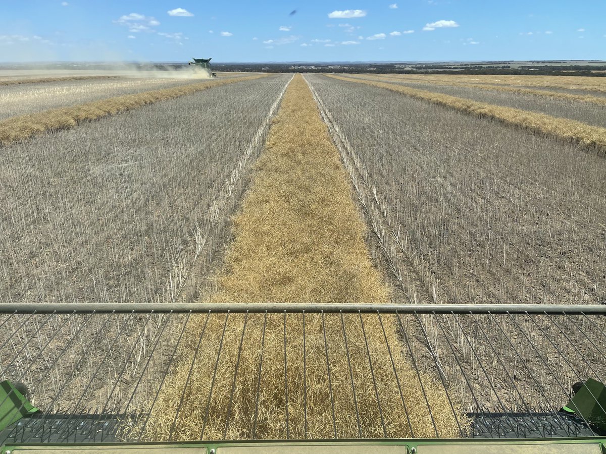 This is more like it…getting something done! #warakirricropping