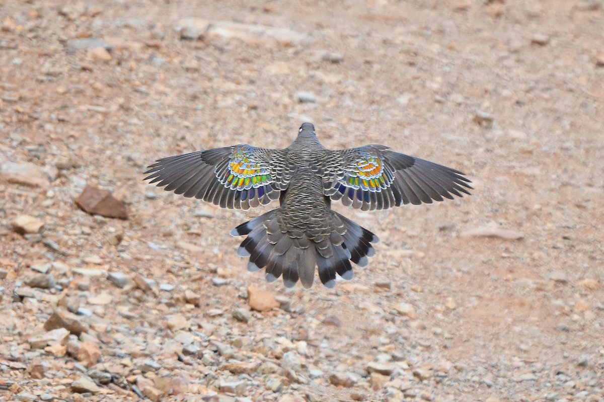 KaiTheFishGuy tweet media