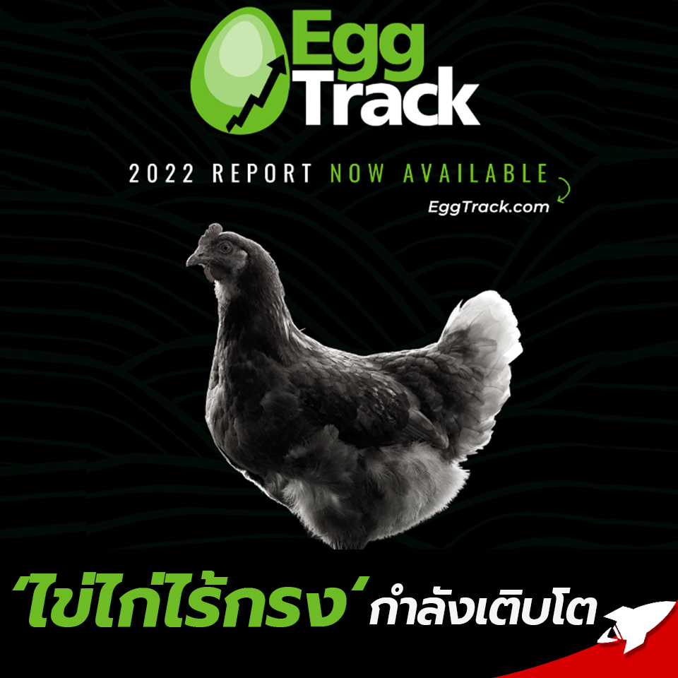 FoodLaunchTH's tweet photo. รายงาน EggTrack ฉบับที่ 6 ประจำปี 2565 โดยองค์กรการกุศลด้านฟาร์มเลี้ยงสัตว์ ชี้ให้เห็นว่า บริษัทจำนวนมาก เช่น Pizza Express, Yum! Brands, และ Blooming’ Brands ได้ประกาศคำมั่นสัญญาเกี่ยวกับไข่ไก่ไร้กรง
#ไข่ไก่ไร้กรง #EggTrack #sustainability #FoodLaunchTH #อุตสาหกรรมอาหาร https://t.co/8WvyH6EKWG