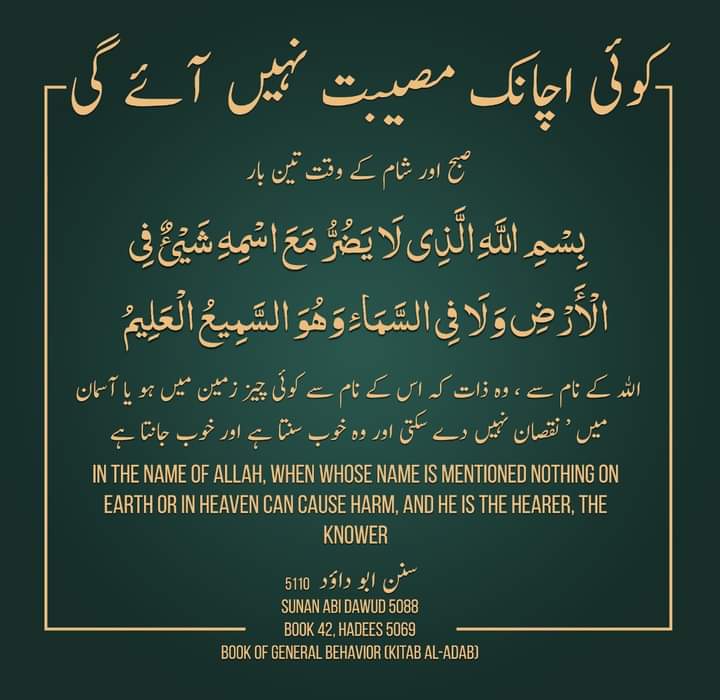 M Mahfooz میرا عشق نواز شریف میری جان نواز شریف tweet media