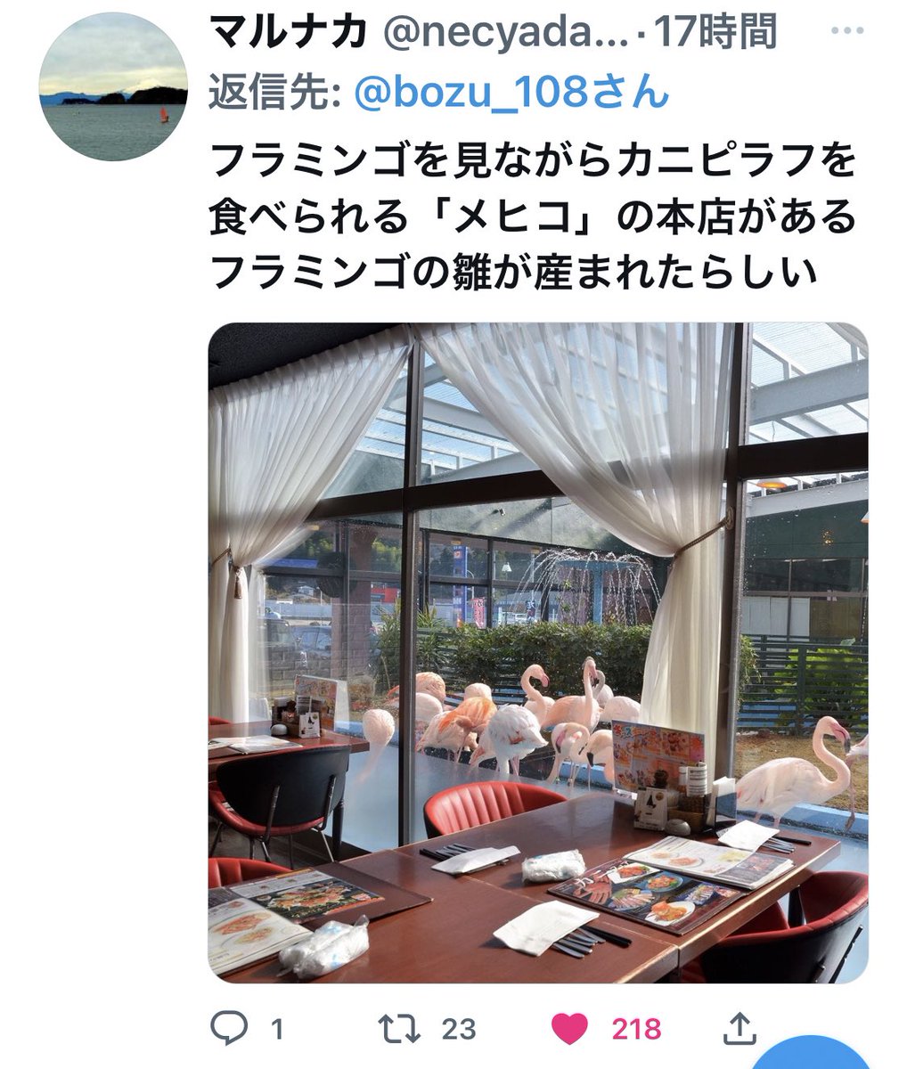 bozu_108's tweet photo. 福島県いわき市の人しか分からないこと選手権

いわきの皆さん、そうなんですか？ https://t.co/YG16qQtesN