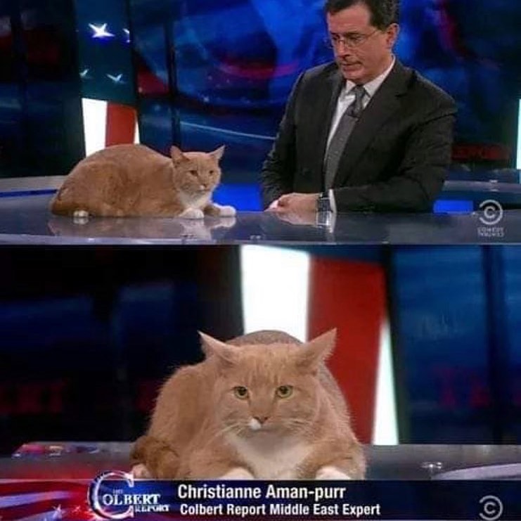 Take_Meow_Hand's tweet photo. https://t.co/Xs3trvEiHS