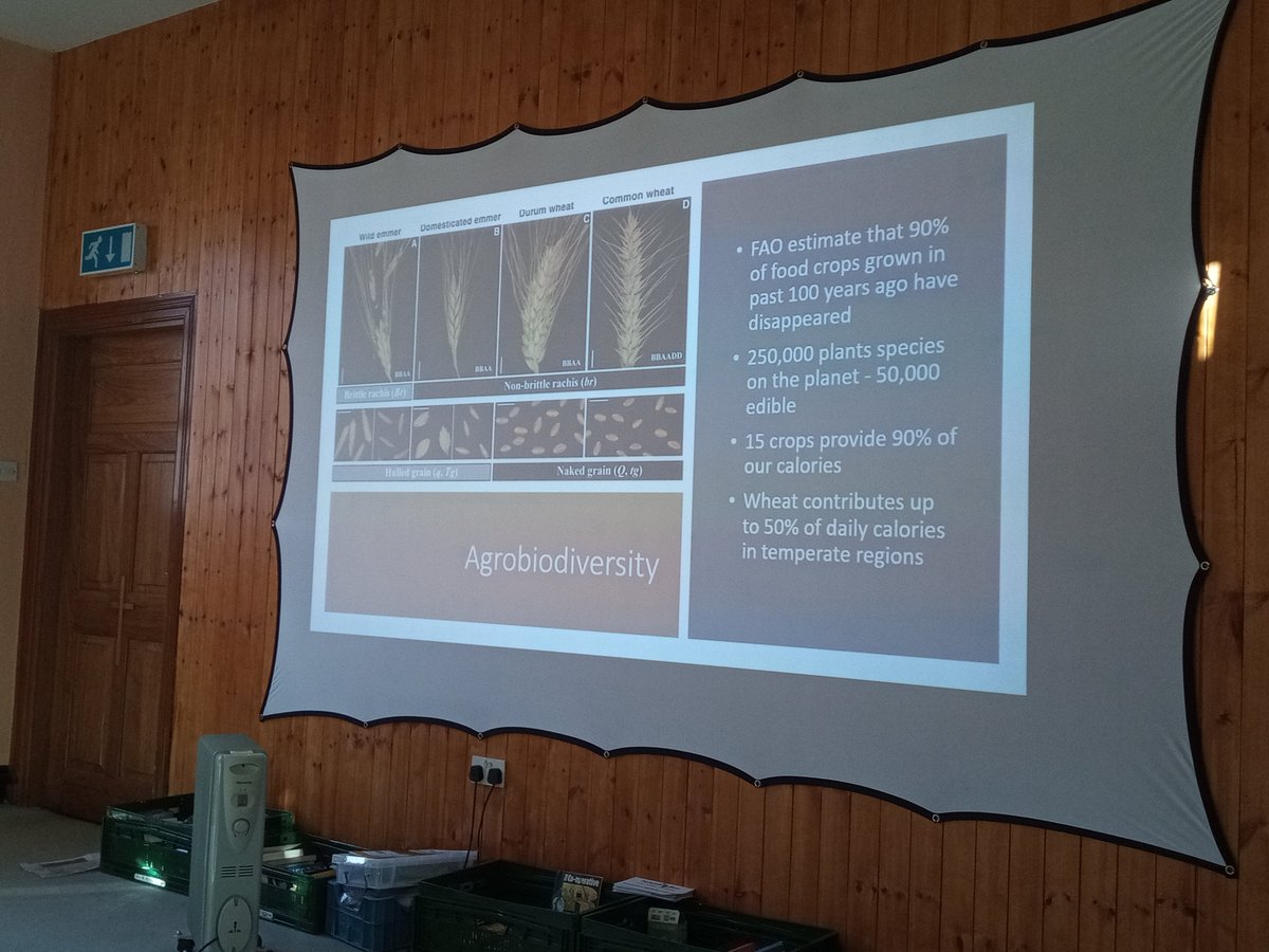 IrelandSeedSov's tweet photo. Lovely weekend @cecas_ie in West Cork with our new and emerging seed network. Everyone now nicely fired up fo next year of work. Feels like we have come a long way in a short time but that also this just the beginning...... #seedsovnetwork https://t.co/sPB9Fr0OUV