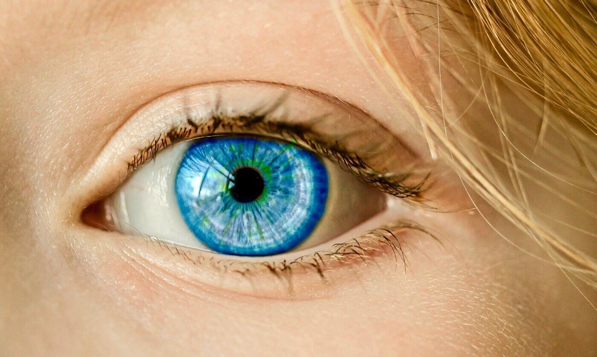 LagadVision's tweet photo. At the @RetinaFrance event in Paris, we examined the eyes of numerous people with our MPSII and presented our products against the sensation of dry eyes, glare and AMD.

Try our ingestible Sofgels👇
https://t.co/NhuGw4CvmD 

#dryeyes #amd #eye #Retinafrance https://t.co/RwtyT4I9yT