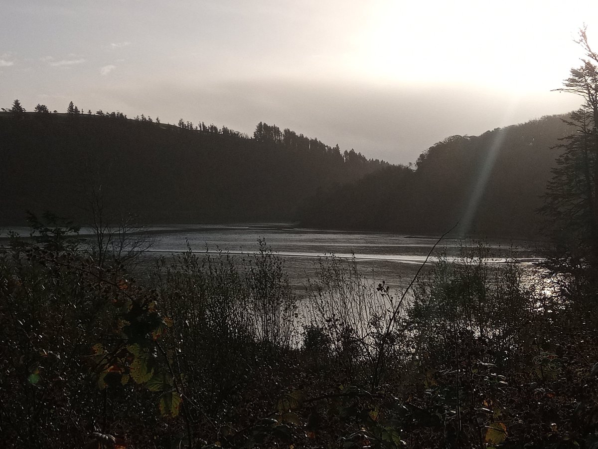 IrelandSeedSov's tweet photo. Lovely weekend @cecas_ie in West Cork with our new and emerging seed network. Everyone now nicely fired up fo next year of work. Feels like we have come a long way in a short time but that also this just the beginning...... #seedsovnetwork https://t.co/sPB9Fr0OUV