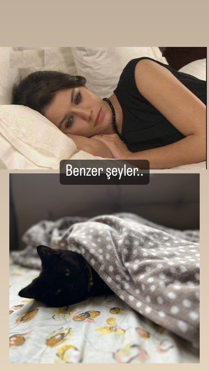 Mehmet Can Nergizoğulları (@dr_mcnn) on Twitter photo 