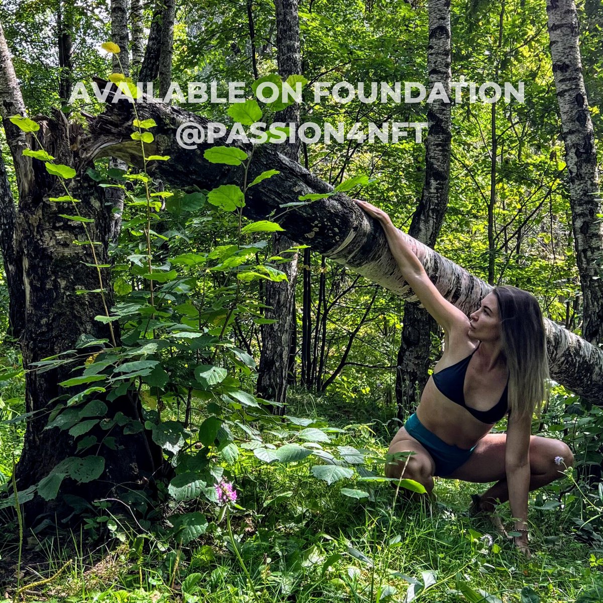 GM FAM!💚🫶
«AMAZON INSTINCT»

Closeness to nature awakens the instincts.
Great feeling!
Sometimes I want to have a button that just switches on/off feelings - would be convenient.
What is your favorite instinct?

0.15 ΞTH 🚀
foundation.app/@Passion4NFT/f…