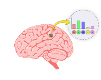 Glioma Genomics Research Group (@gliomagenomics) on Twitter photo We'd love to hear back from the community about GBMdeconvoluteR, our tool to infer relative proportions of cancer & TME cells from bulk GBM RNAseq data biorxiv.org/content/10.110… Made possible thanks to funding from <a href="/UKRI_News/">UK Research and Innovation</a> <a href="/YorkshireBTC/">Yorkshire's Brain Tumour Charity</a> <a href="/OscarsCharity/">OSCAR's PBTC</a> <a href="/3DBioImaging/">IBIN</a> <a href="/BNS_updates/">BNS Neuropathology</a> We'd love to hear back from the community about GBMdeconvoluteR, our tool to infer relative proportions of cancer & TME cells from bulk GBM RNAseq data biorxiv.org/content/10.110… Made possible thanks to funding from <a href="/UKRI_News/">UK Research and Innovation</a> <a href="/YorkshireBTC/">Yorkshire's Brain Tumour Charity</a> <a href="/OscarsCharity/">OSCAR's PBTC</a> <a href="/3DBioImaging/">IBIN</a> <a href="/BNS_updates/">BNS Neuropathology</a>