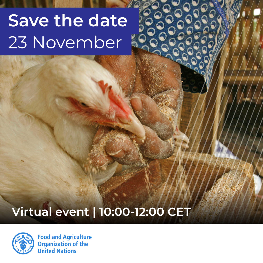 📢 Save the date! Learn how we can adopt better practices to reduce the need for antimicrobials in animal production in the webinar organized by @FAO. 🔗 Register here: bit.ly/3TZldt7 📅 23 November ⏰ 10:00 – 12:00 (CET)