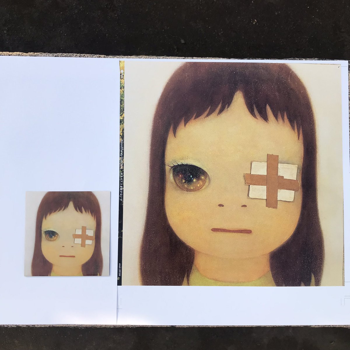 bloodthirsty butchers ギタリストを殺さないで 奈良美智