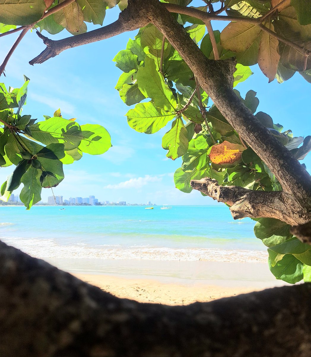 SnowVandell's tweet photo. When you visit the island for a family reunion. 

#pr #boricua #Latino #beachpr #playasdepr #playa #2022  #islaverde https://t.co/7yEED1adBn