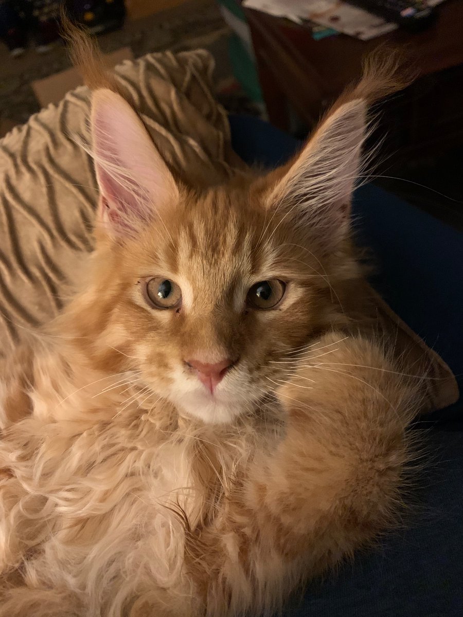 We are completely, totally in love with our new baby.