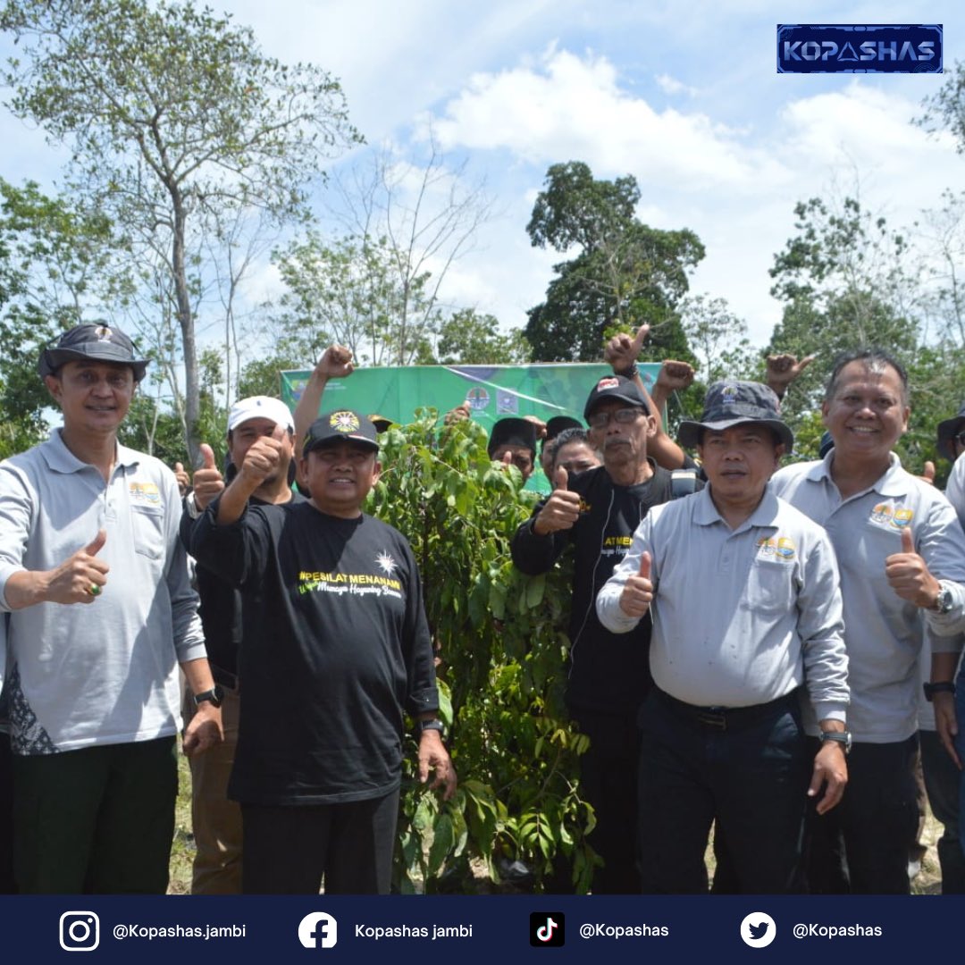 kopashas's tweet photo. Gubernur Jambi, Al Haris menanam pohon bersama ribuan pesilat Persaudaraan Setia Hati Terate dalam rangka penghijauan lingkungan daerah aliran sungan (DAS).

#kopashas #alharis #woharis #QatarWorldCup2022 #gubernurjambi #jambimantap https://t.co/8bQ4CXXXgS