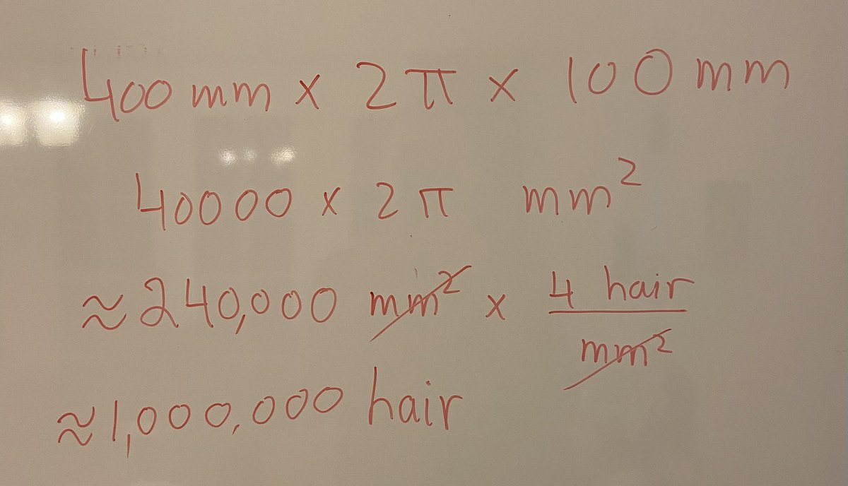 JahanDawlaty's tweet photo. I was telling my family about Fermi estimate problems. I did an example. How many hair does our dog have? I had to approximate the dog as a cylinder first!! See the answer below: https://t.co/6OUvEz6dq3