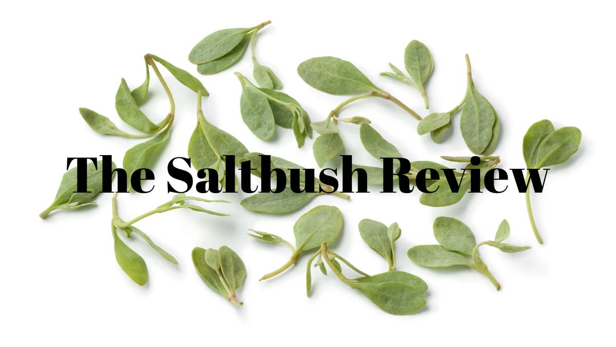 Writing NSW tweet media