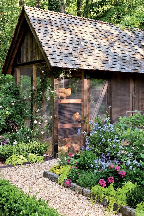organicbby's tweet photo. chicken coop inspo https://t.co/boopdBCI9f