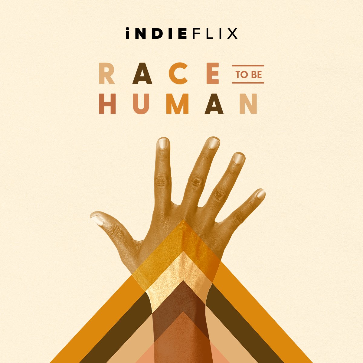 Shekou International School tweet media