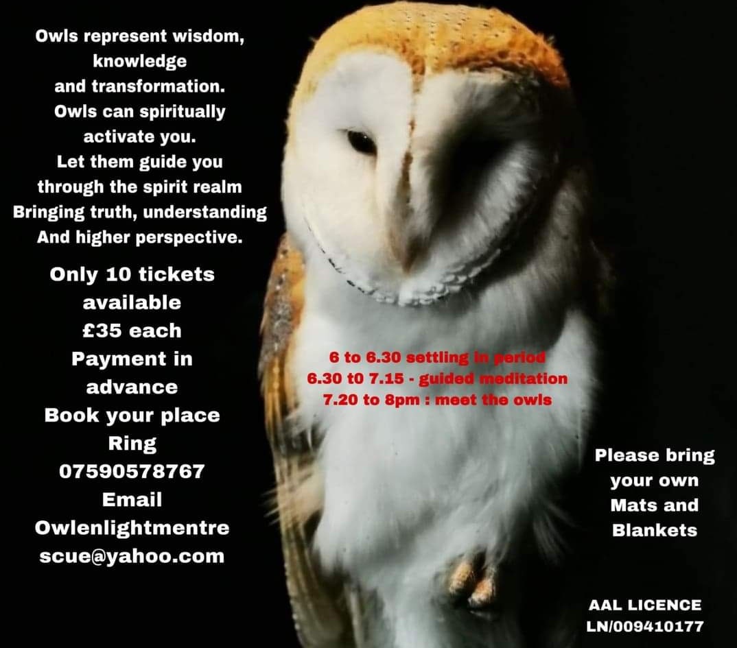 owlenlightment's tweet photo. @CountyGazette You can experience an owl meditation 🙏 https://t.co/GSN2CAj6dD