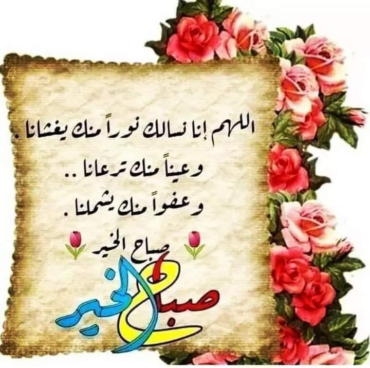 Dr. Gamal Vet 1 tweet media