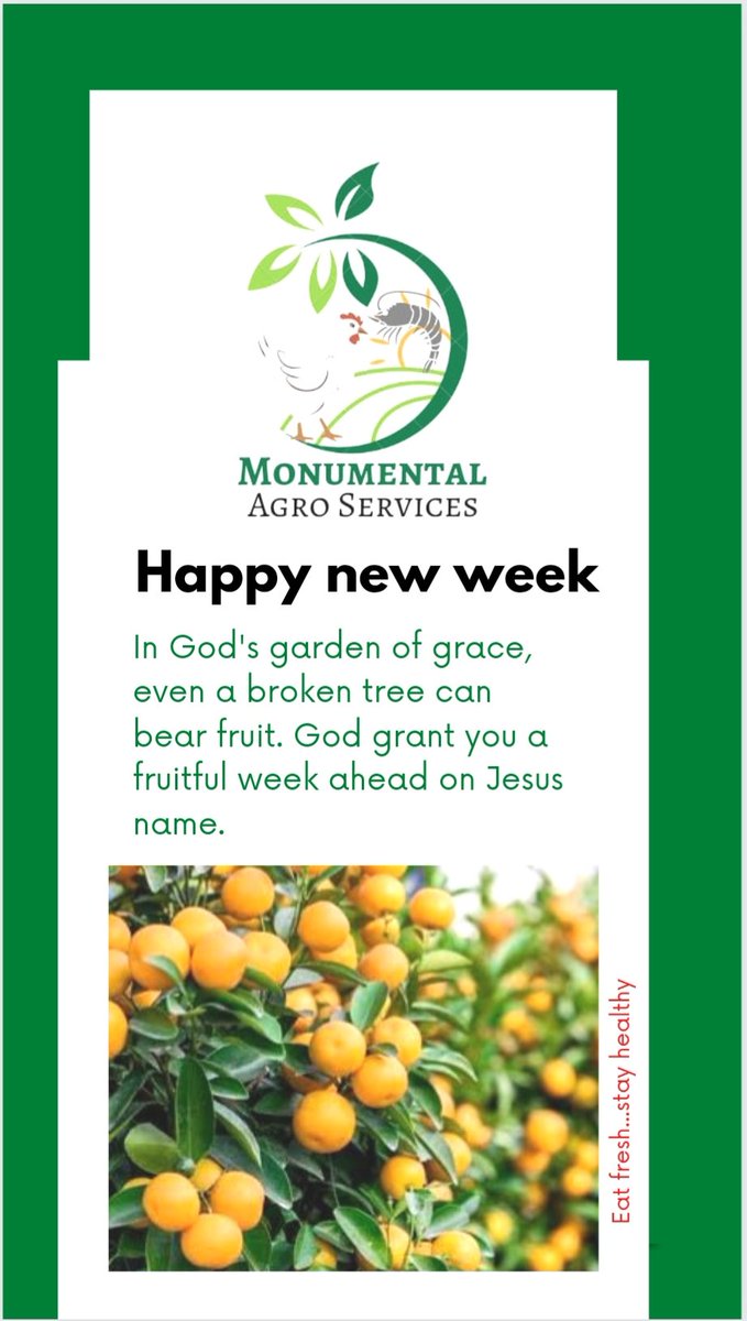Monumentalfarm's tweet photo. Happy new week famclients. https://t.co/fcu7sDWW9o