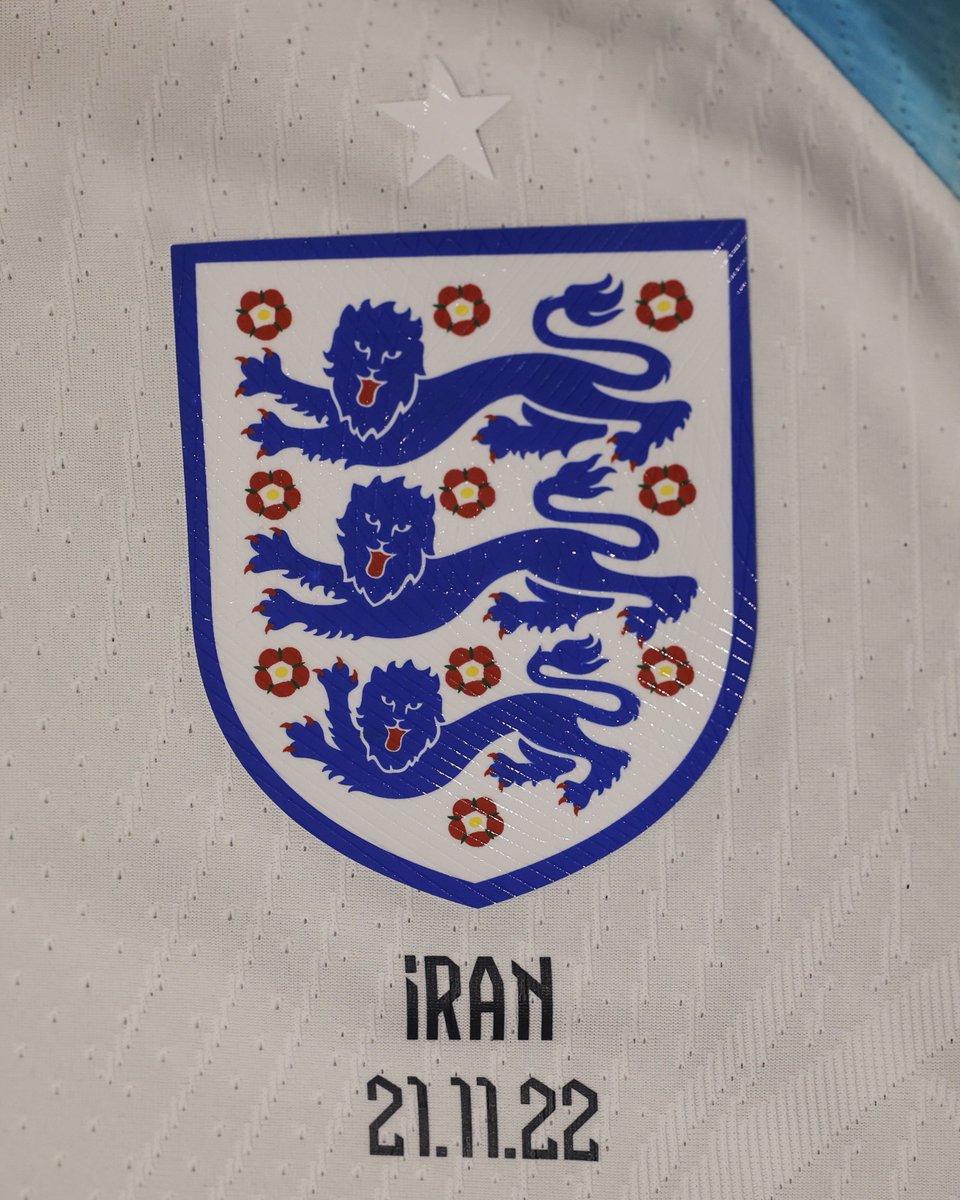 🦁🦁🦁