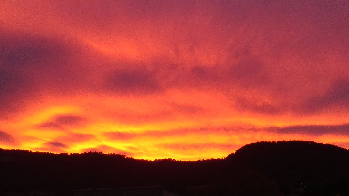 GeraciHelene's tweet photo. #cieldautomne
Et bonjour à vous ! https://t.co/e7xCA7gSt3