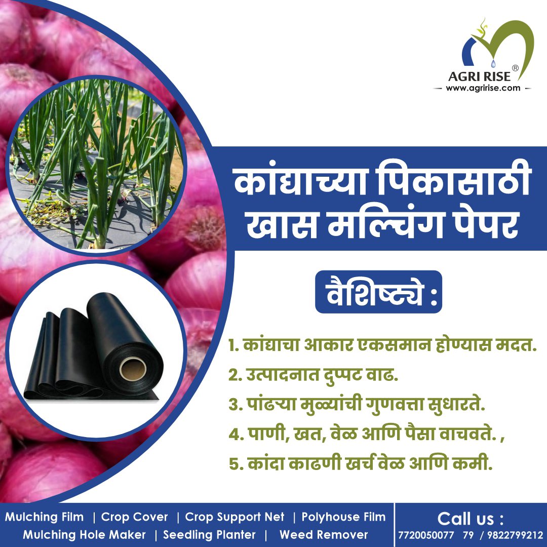 agririse's tweet photo. कांद्याच्या 🧅🧻 पिकासाठी खास #ॲग्रीराईज #मल्चिंग_पेपर 🤩

#mulchingpaper #mulchingpaperpriceinindia #mulchingpaper_wholemaker #cropcover #cropcoverage #cropcoverfarming #cropcovers #cropcovering #cropcoverprotection #cropcovermulching #cropcoverplastic #mulchingholemaker https://t.co/jKo5pxuRWk
