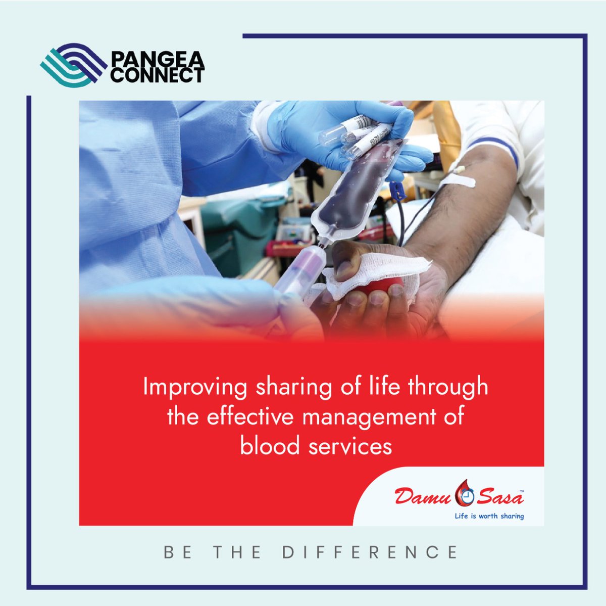 Pangea Connect (@Pangea_Connect) / Posts / X