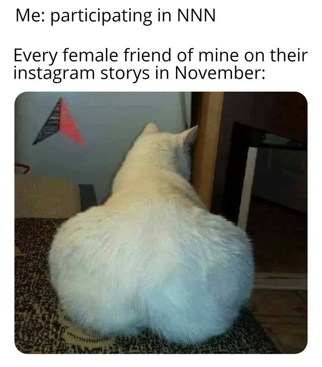 0xNoNutNov's tweet photo. If someone fails because of this post I will scream. 😰
#NNN #stillin https://t.co/OfVY4NWzq4
