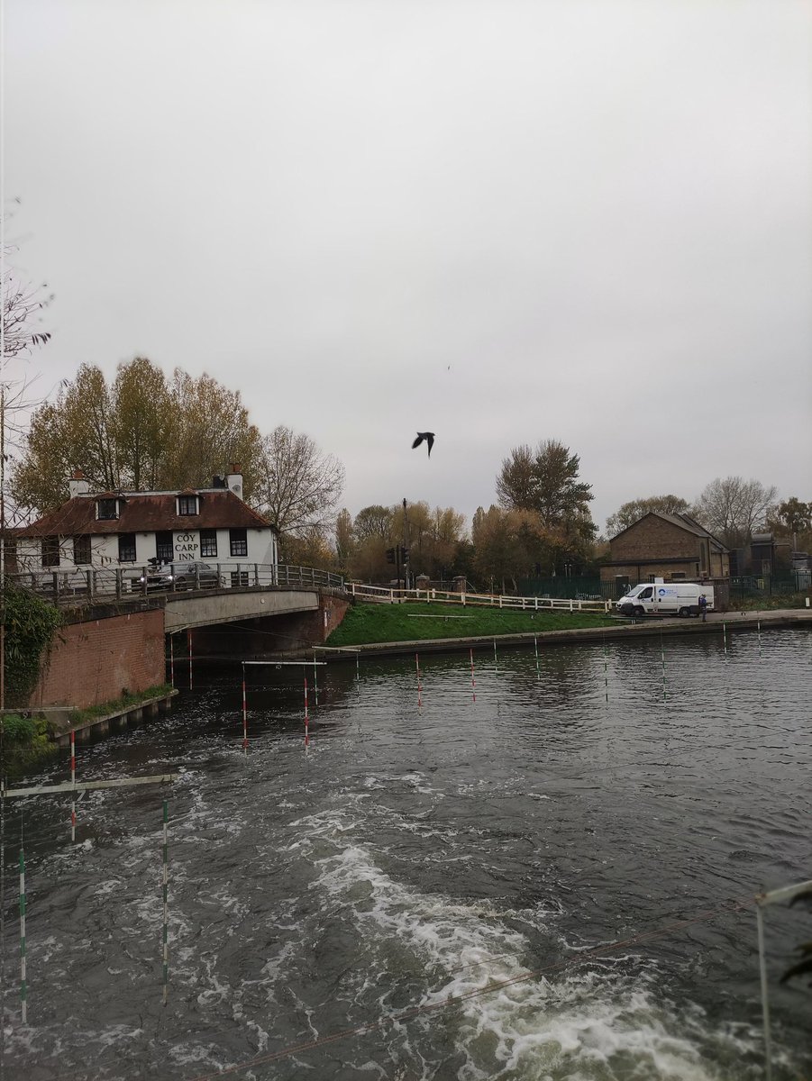 Aaand current state: perfect condition!