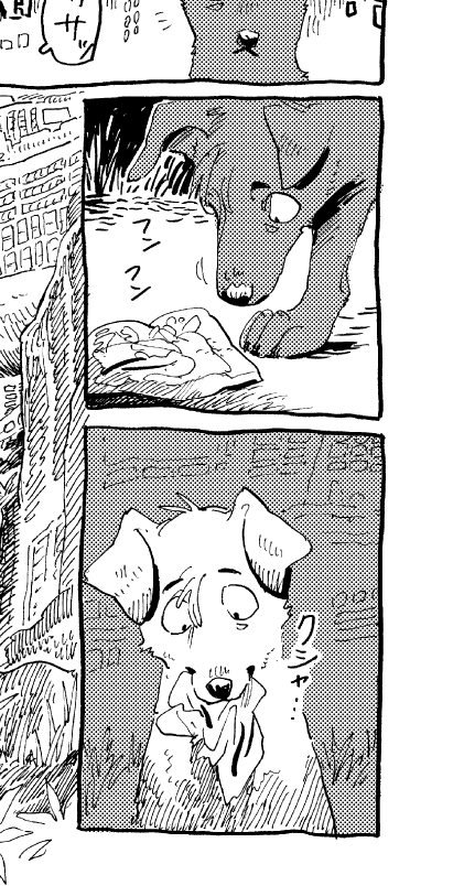 cute🌻dog 